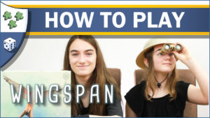 Nights Around a Table - How to Play Wingspan board game video thumbnail